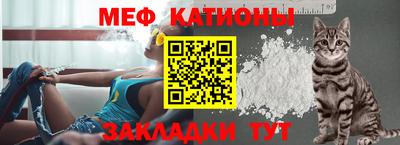 гашик Можга