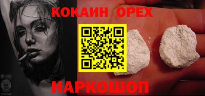 гашик Можга