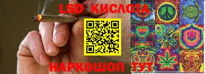 гашик Можга