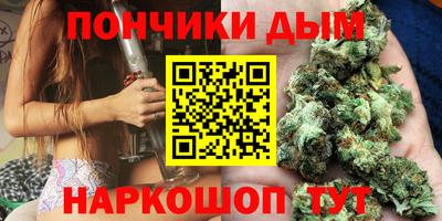 гашик Можга