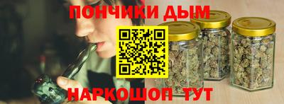 индика Можайск