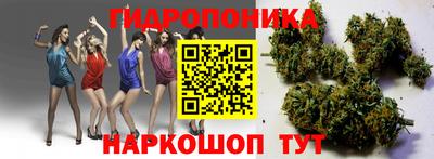 индика Можайск