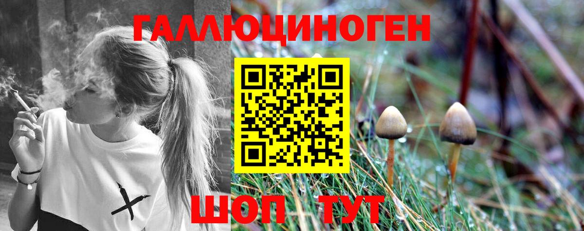 Псилоцибиновые грибы Psilocybe Салават