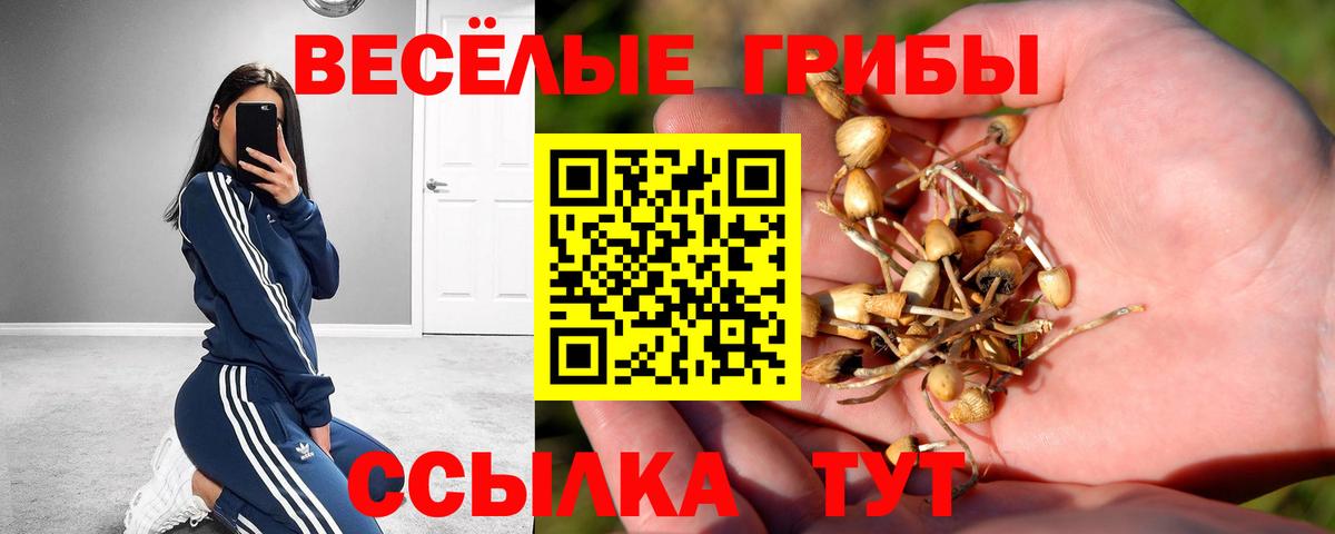 Салават  наркотики  Вход с VPN  Псилоцибиновые грибы MAGIC MUSHROOMS 